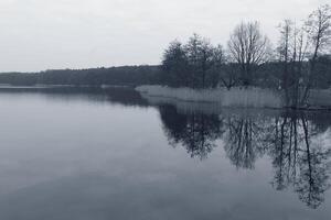 gemakkelijk natuur foto