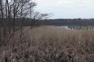 natuur achtergrond foto