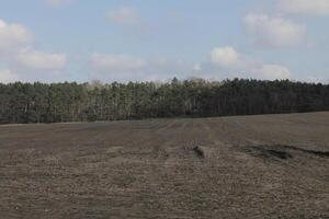 natuur achtergrond foto