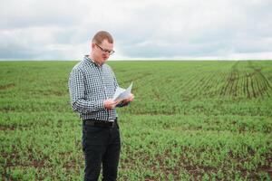 boer Aan een erwt veld. landbouw concept. de boer werken in de veld. veganistisch vegetarisch huis gegroeid voedsel productie. foto