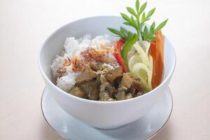 nasi mangkuk kikili lombok iko of groen peper rundvlees zacht bot rijst- kom foto