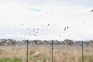 reusachtig stapel van vuilnis in een stad dump Aan somber dag. houden de milieu schoon. ecologisch problemen. foto