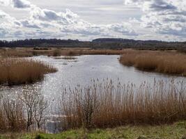 zonlicht glinsterend Aan water Bij st assistenten natuur park, west yorkshire, Engeland foto