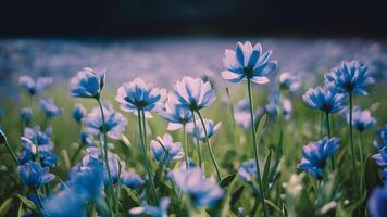 ai gegenereerd fantasie teder bloemen achtergrond met blauw bloemen in onscherp instelling foto