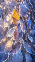 ai gegenereerd winter wonderland ijzig bladeren gedekt in glimmend ijs in besneeuwd Woud verticaal mobiel behang foto