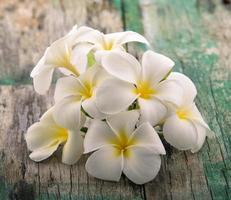 frangipani bloem op houten