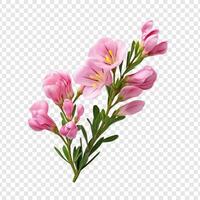 freesia bloem achtergrond foto