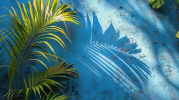 ai gegenereerd palm boom schaduw Aan blauw muur foto