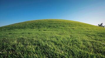 ai gegenereerd met gras begroeid heuvel met bomen foto