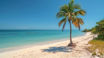 ai gegenereerd palm boom Aan zanderig strand foto