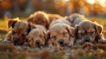 ai gegenereerd een groep van puppy's slapen in de gras foto