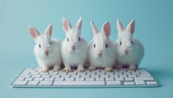 ai gegenereerd groep van wit konijnen zittend Aan een computer toetsenbord Aan een blauw achtergrond foto