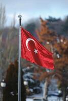 ai gegenereerd een Turks nationaal vlag is weergegeven Aan een pool buitenshuis foto