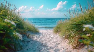 ai gegenereerd zanderig pad leidend naar de strand, met weelderig groen Aan of kant en een Doorzichtig blauw lucht bovenstaand foto