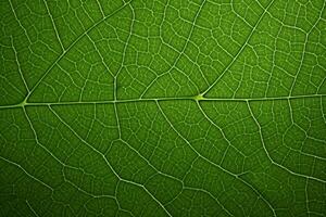 ai gegenereerd dichtbij omhoog groen blad textuur, macro bladeren structuur achtergrond, groen blad macro fotografie, ai generatief foto