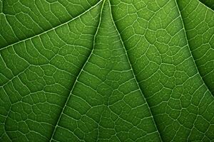 ai gegenereerd dichtbij omhoog groen blad textuur, macro bladeren structuur achtergrond, groen blad macro fotografie, ai generatief foto