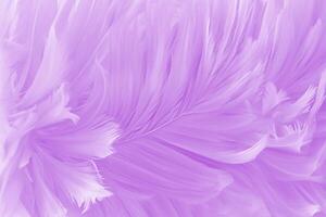 Purper gevederte, verbijsterend achtergrond structuur met licht lavendel vogel veren. foto