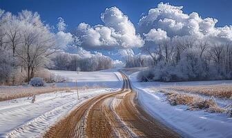 ai gegenereerd besneeuwd pad naar ijzig bossen, blauw lucht foto