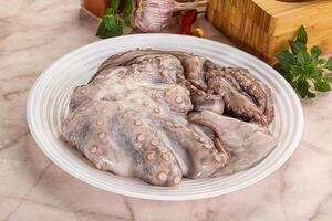 rauw verkoudheid Octopus voor Koken foto