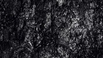 contrasterend hout graan textuur, zwart en wit palet. foto