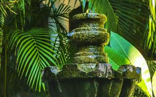 nostalgisch groen fontein in de tuin puerto escondido Mexico. foto