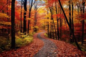 ai gegenereerd kleurrijk bladeren Aan een pad door de bossen. generatief ai foto