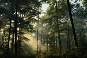 ai gegenereerd vroeg ochtend- licht zoenen de boomtoppen in de bossen. generatief ai foto