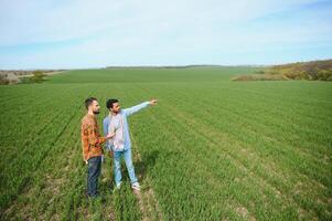 de concept van Internationale relaties in agrarisch bedrijf. Indisch en Europese boeren staan in een veld- van groen tarwe foto