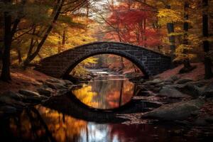 ai gegenereerd brug over- een kalmte kreek in de midden van vallen kleuren. generatief ai foto