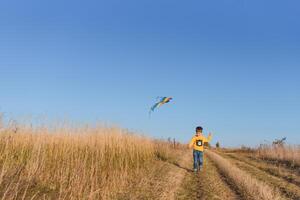 weinig jongen spelen met vlieger Aan weide. kinderjaren concept foto