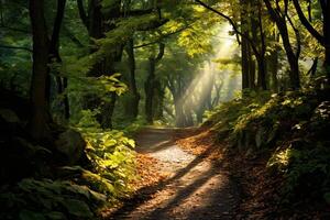 ai gegenereerd zonlicht filteren door bladeren Aan een wandelen pad. generatief ai foto