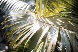 ai gegenereerd zonlicht filteren door palm bladeren in de middag. generatief ai foto