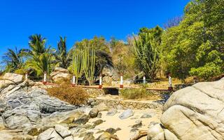 wandelen pad wandelen manier strand mensen zicatela puerto escondido Mexico. foto