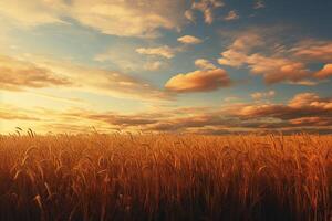 ai gegenereerd de gouden tinten van een veld- in de middag. generatief ai foto