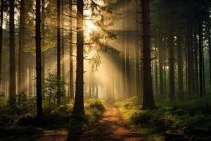 ai gegenereerd een biologisch beeld van een Woud met gefilterd zonlicht, markeren de belang van duurzame bosbouw. generatief ai foto