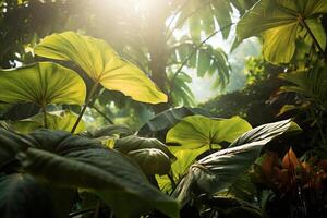 ai gegenereerd zonlicht filteren door bladeren in een botanisch tuin. generatief ai foto