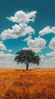 ai gegenereerd eenzaam boom Aan met gras begroeid heuvel onder blauw lucht foto