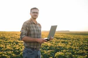 agronoom inspecteren soja Boon gewassen groeit in de boerderij veld. landbouw productie concept. jong agronoom onderzoekt soja Bijsnijden Aan veld- in zomer. boer Aan soja veld- foto