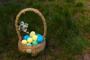 verf eieren voor Pasen, helder Pasen vakantie, kinderen verf eieren, gekleurde eieren in een mand, gekleurde eieren Aan een stellage, vakantie achtergrond foto