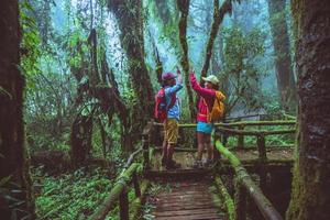 minnaar aziatische man en aziatische vrouwen reizen de natuur. natuurstudie in het regenwoud in chiangmai in thailand. foto