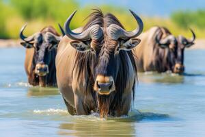 ai gegenereerd ervaring de ontzagwekkend zicht van een wildebeest Aan een onvergetelijk safari avontuur foto