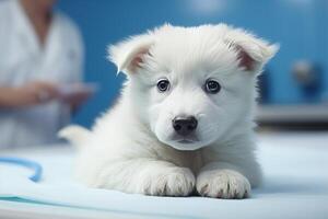 ai gegenereerd aanbiddelijk puppy krijgen gevaccineerd gedurende bezoek naar de dierenarts Bij de dier kliniek foto