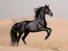ai gegenereerd zwart paard loopt Aan zand in de woestijn foto