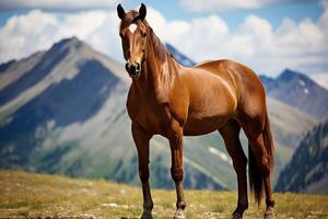 ai gegenereerd mooi paard vredig begrazing Aan weelderig, toneel- alpine weide met ruimte voor tekst foto