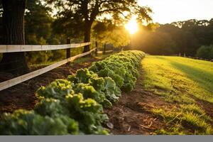 ai gegenereerd levendig en heerlijk boerenkool oogst. een bijeenkomst van vers, voedzaam Groenen van een bloeiend tuin foto