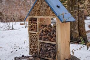 insect huis, hooi en kegels in de huis, stokjes zo dat insecten verbergen voor de winter foto