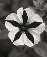 ai gegenereerd gekketunie zwart en wit bloemen foto