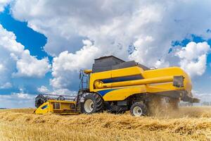 werkwijze van bijeenkomst een rijp Bijsnijden van de velden. combineren oogstmachine in actie Aan tarwe veld. detailopname foto