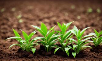 ai gegenereerd planten groeit van bodem, fabriek voortgang, groeit plant, toenemen omhoog van grond foto