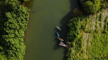 antenne visie, u kan zien een persoon roeien in een kano Bij de mond van de rivier. foto